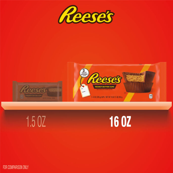 REESE'S World's Largest Peanut Butter Cups 1 lb. Candy Pack