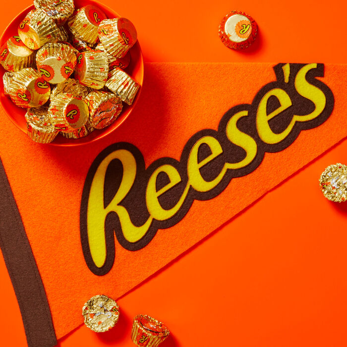 REESE'S Miniatures Milk Chocolate Peanut Butter Cups Candy Share Pack, 9.6 oz